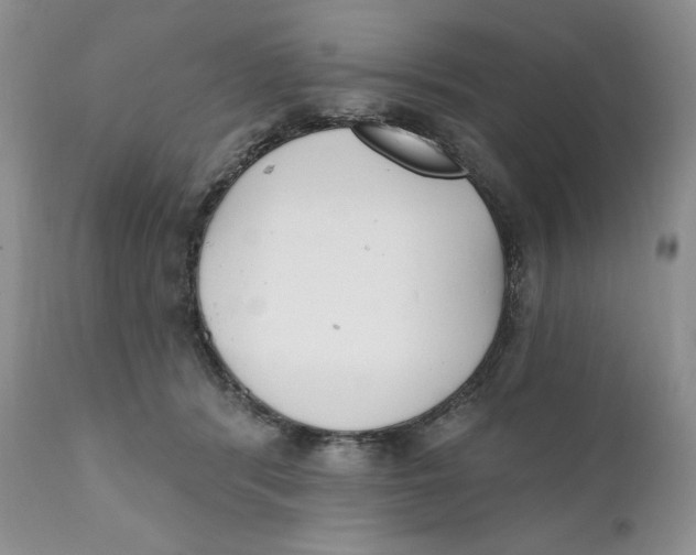 X0000110740416200907061012