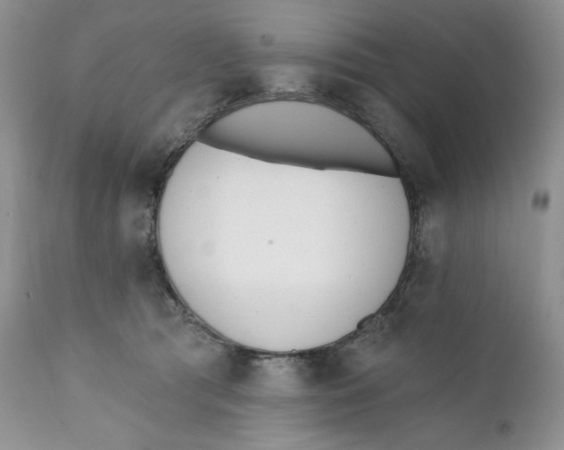 X0000110740417200907061012