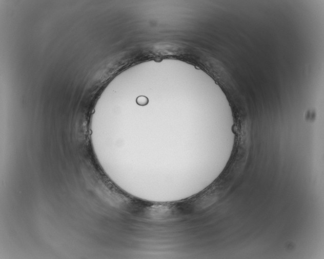 X0000110740418200907061012