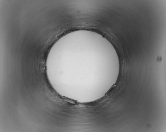 X0000110740419200907061012