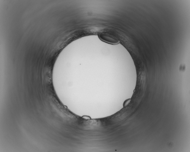 X0000110740421200907061012