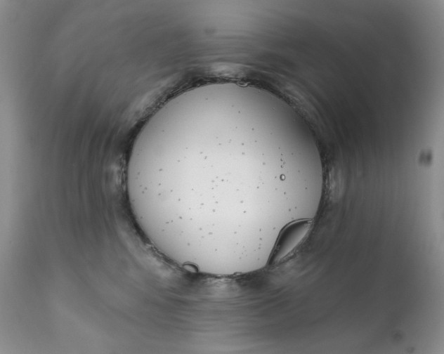 X0000110740424200907061012