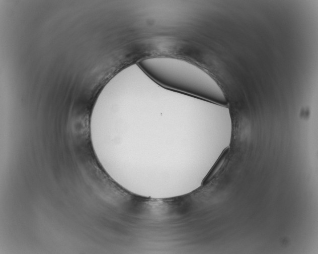 X0000110740425200907061012