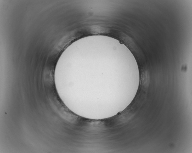 X0000110740426200907061012