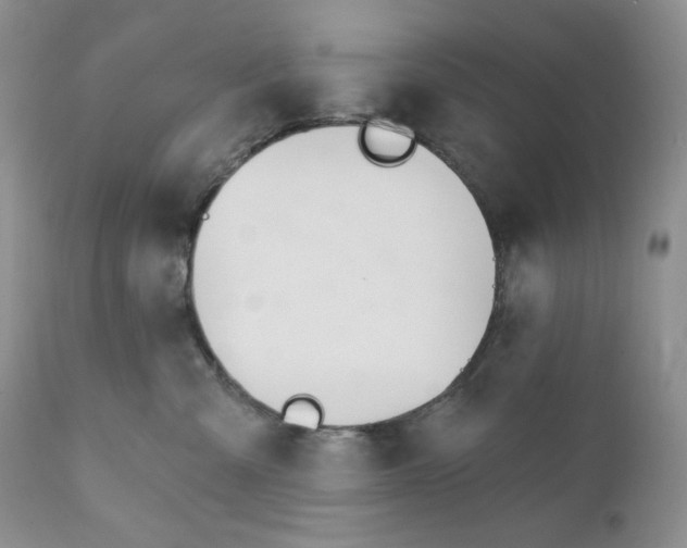 X0000110740427200907061012