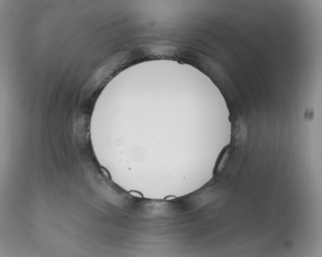 X0000110740428200907061012