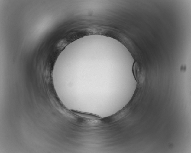 X0000110740429200907061012