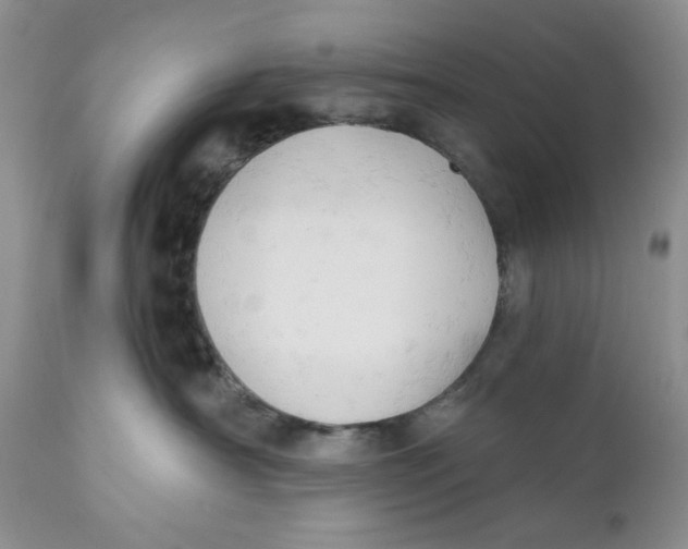 X0000110740430200907061012