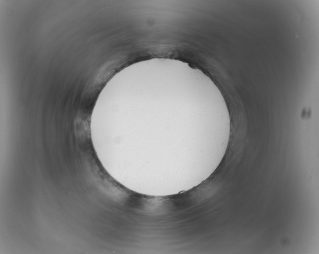 X0000110740432200907061012