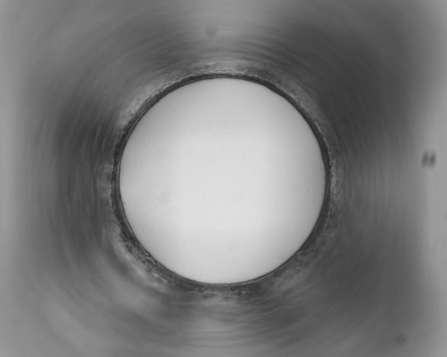 X0000110740434200907061011