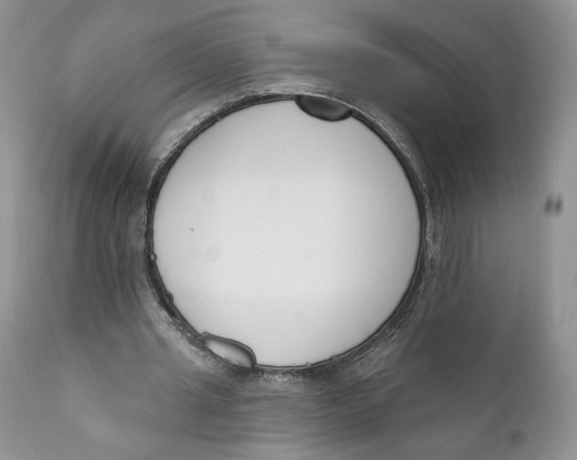 X0000110740437200907061011