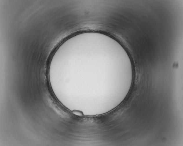 X0000110740439200907061011