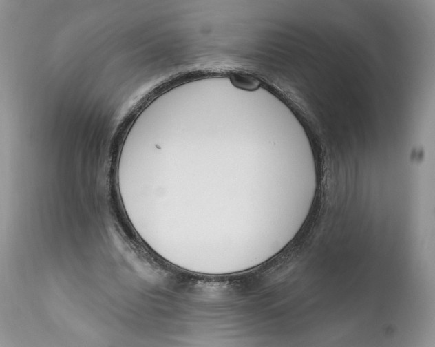 X0000110740440200907061011