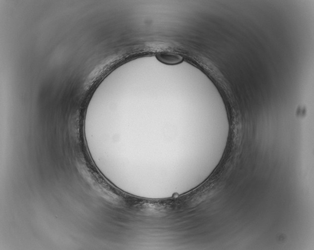 X0000110740442200907061011