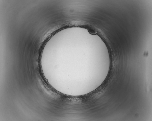 X0000110740443200907061011