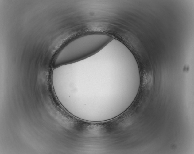 X0000110740444200907061011