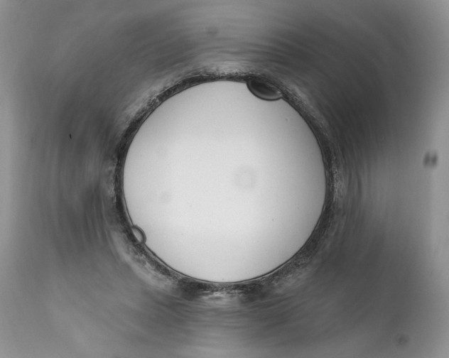 X0000110740447200907061011