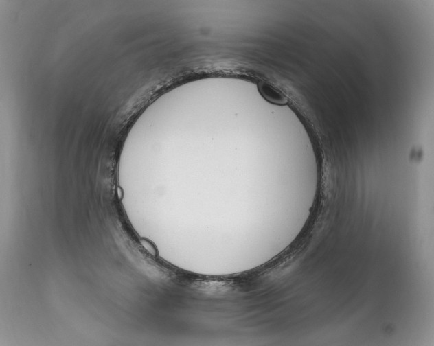 X0000110740449200907061011