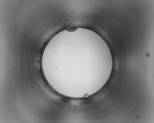 X0000110740450200907061011