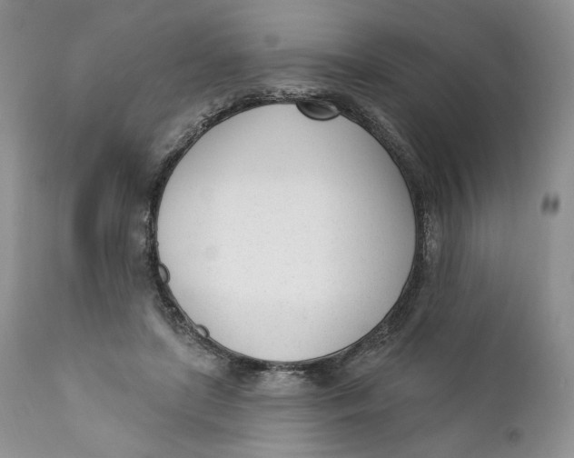 X0000110740451200907061011