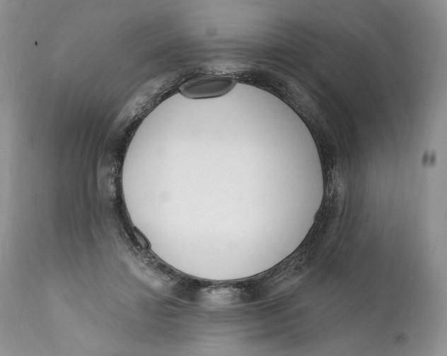 X0000110740452200907061011