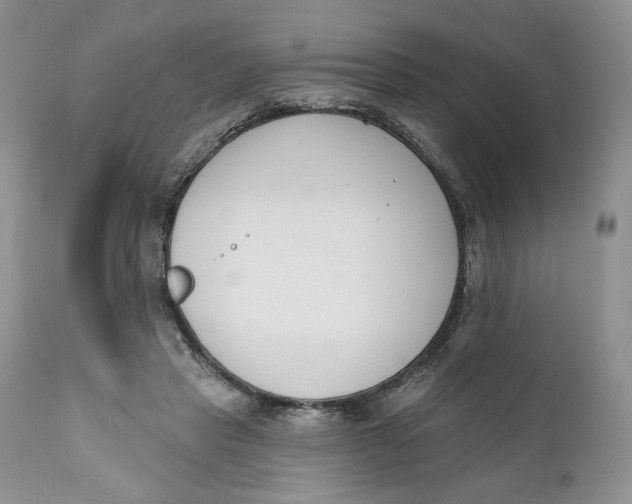 X0000110740453200907061011