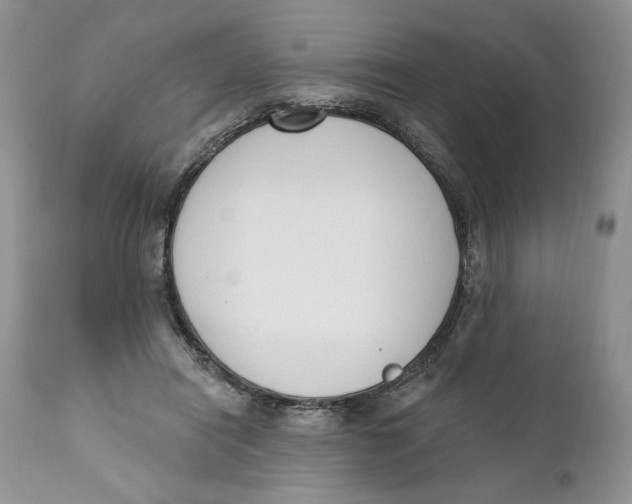 X0000110740454200907061011