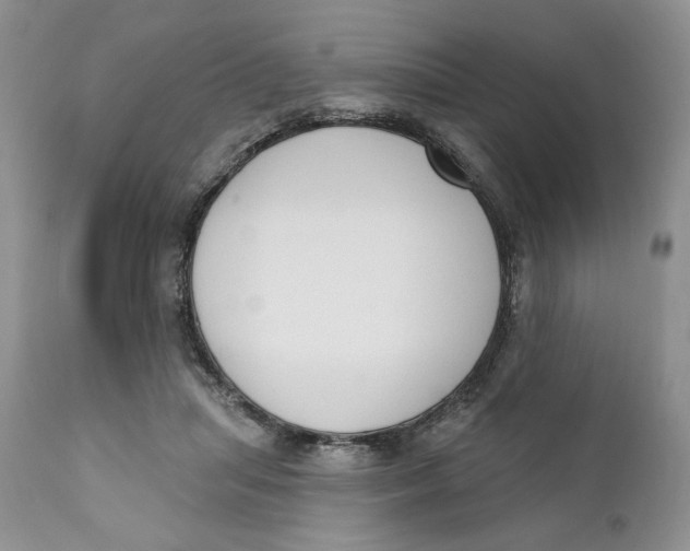 X0000110740455200907061011