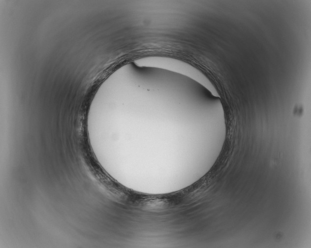 X0000110740456200907061011