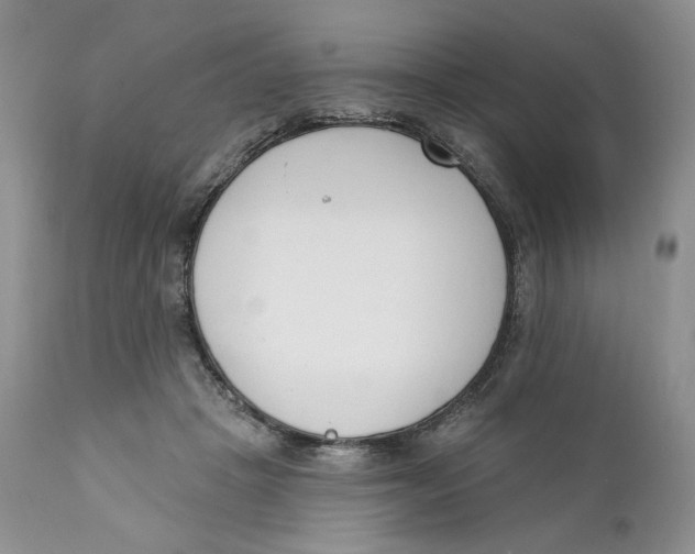 X0000110740457200907061011