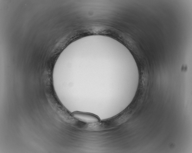 X0000110740461200907061011