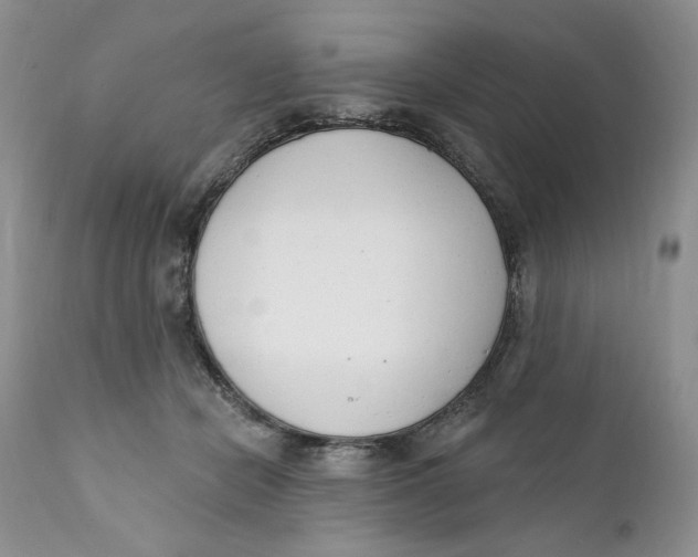 X0000110740462200907061011