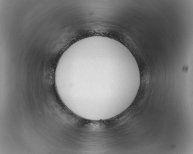 X0000110740464200907061011