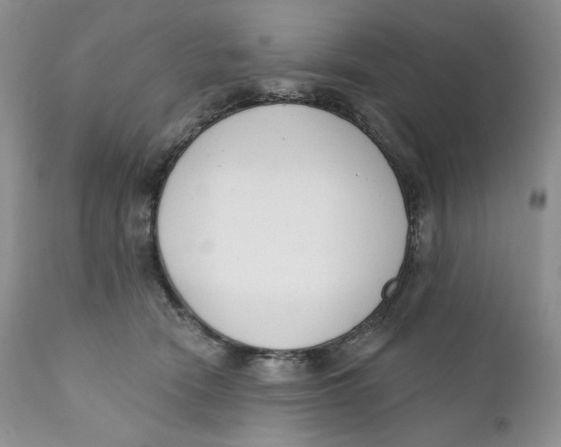 X0000110740466200907061011