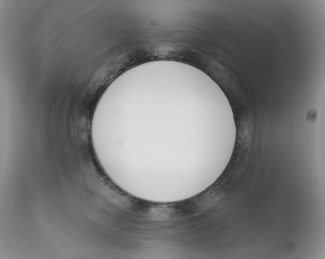 X0000110740470200907061011