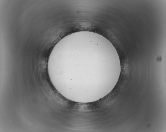 X0000110740472200907061011