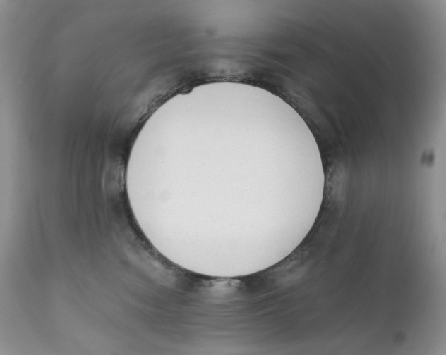 X0000110740474200907061011