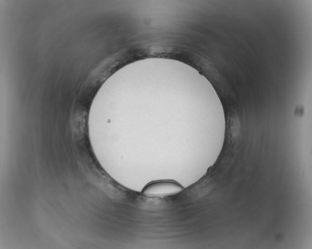 X0000110740475200907061011