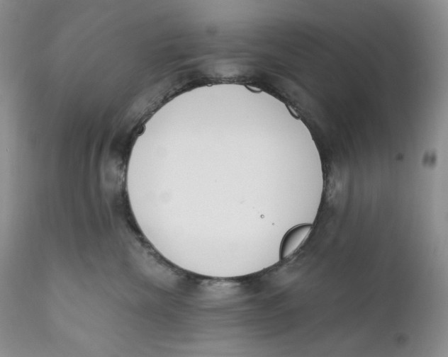 X0000110740476200907061011