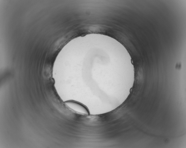 X0000110740478200907061011