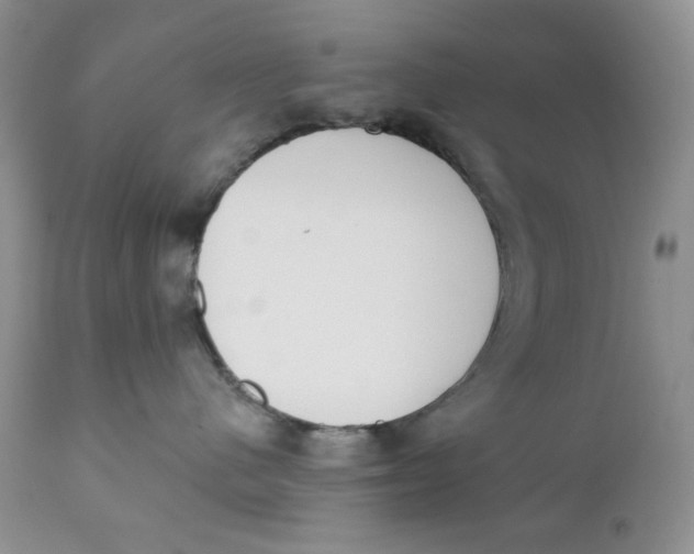 X0000110740480200907061012