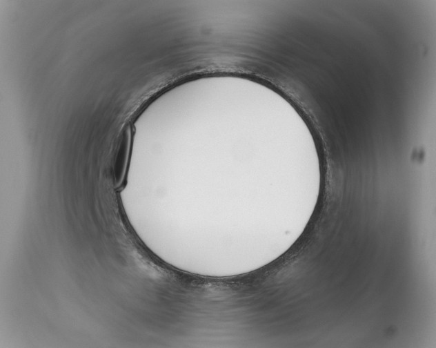 X0000110740481200907061011