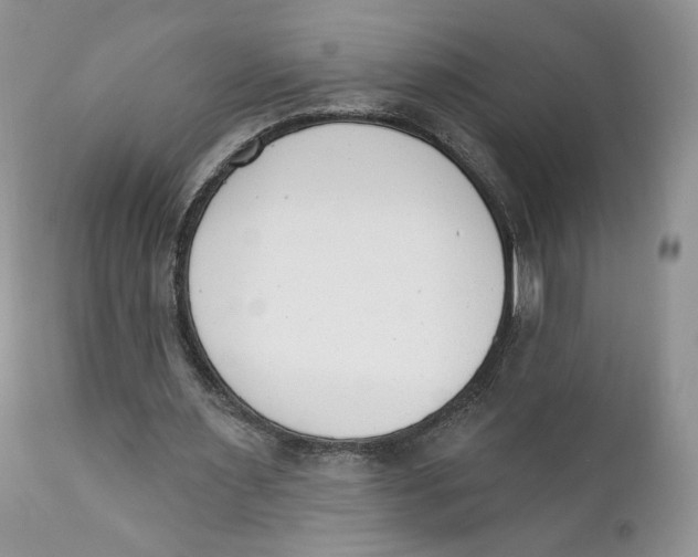 X0000110740483200907061011