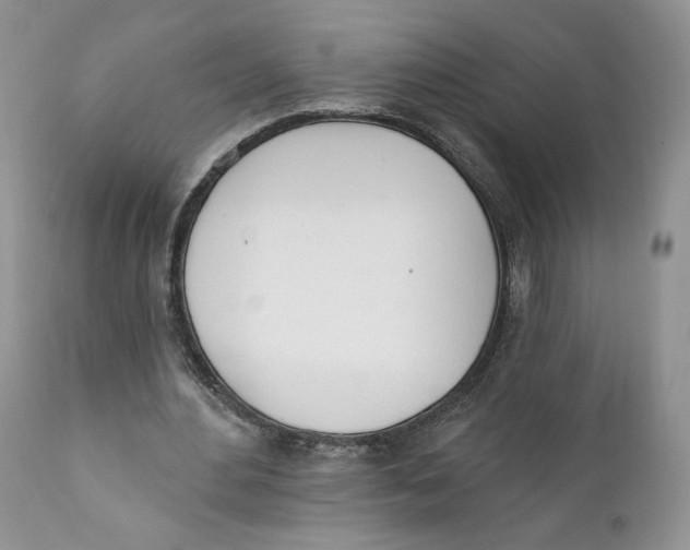 X0000110740484200907061011