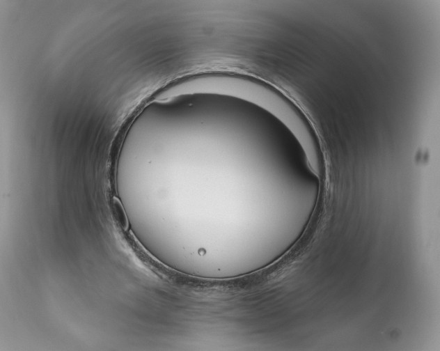 X0000110740485200907061011