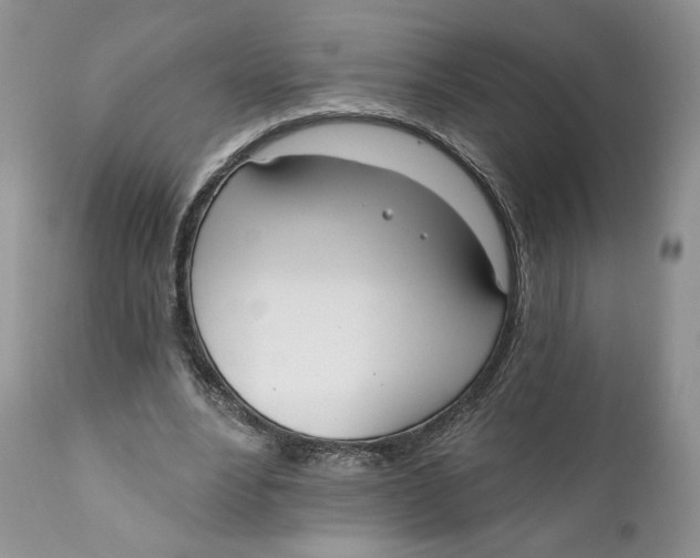 X0000110740488200907061011