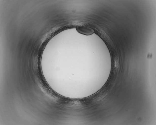 X0000110740492200907061011