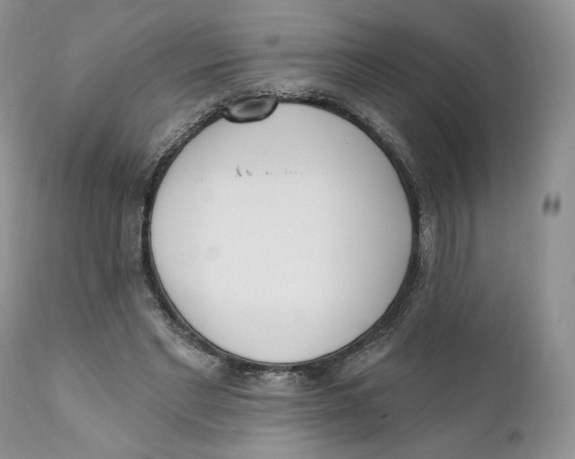 X0000110740493200907061011