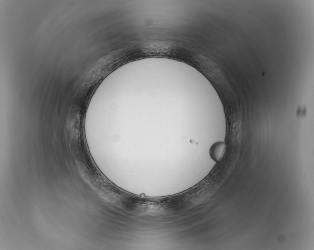 X0000110740498200907061011