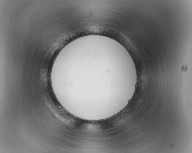 X0000110740500200907061011